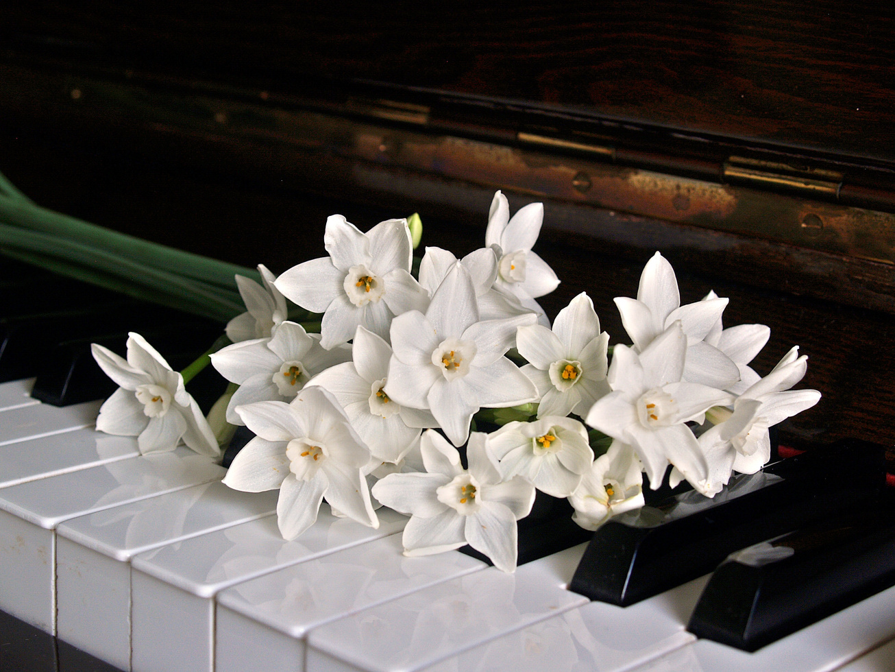 Flowers on Piano Keys